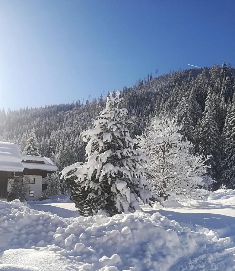Pension Walchauhof Flachau Luaran gambar