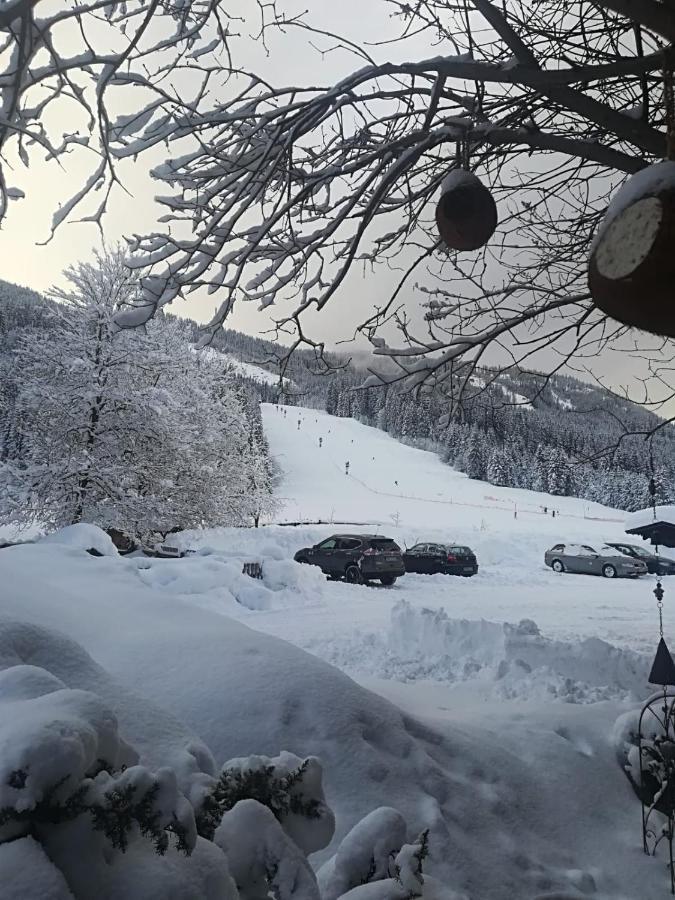 Pension Walchauhof Flachau Luaran gambar