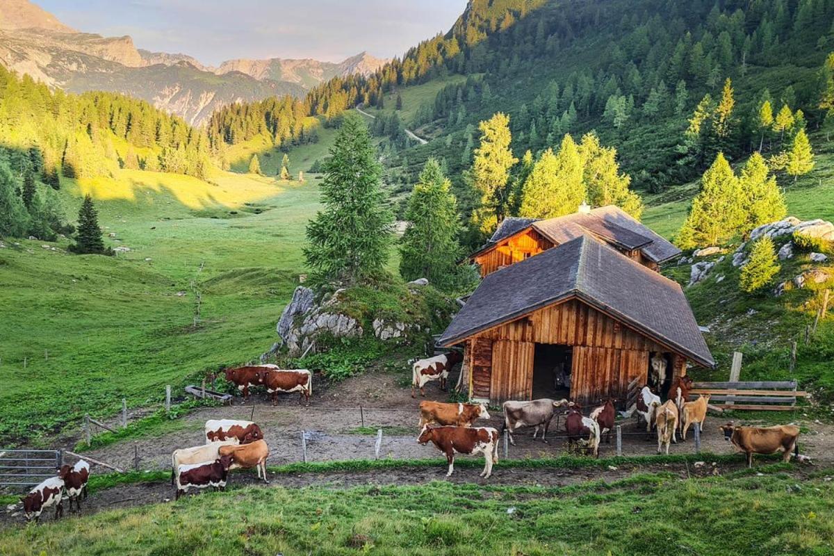 Pension Walchauhof Flachau Luaran gambar