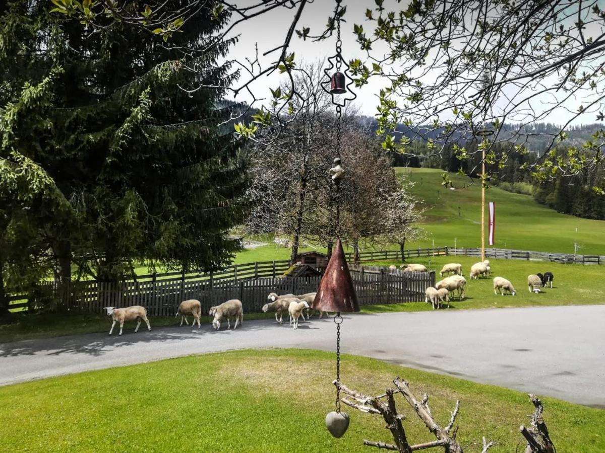 Pension Walchauhof Flachau Luaran gambar